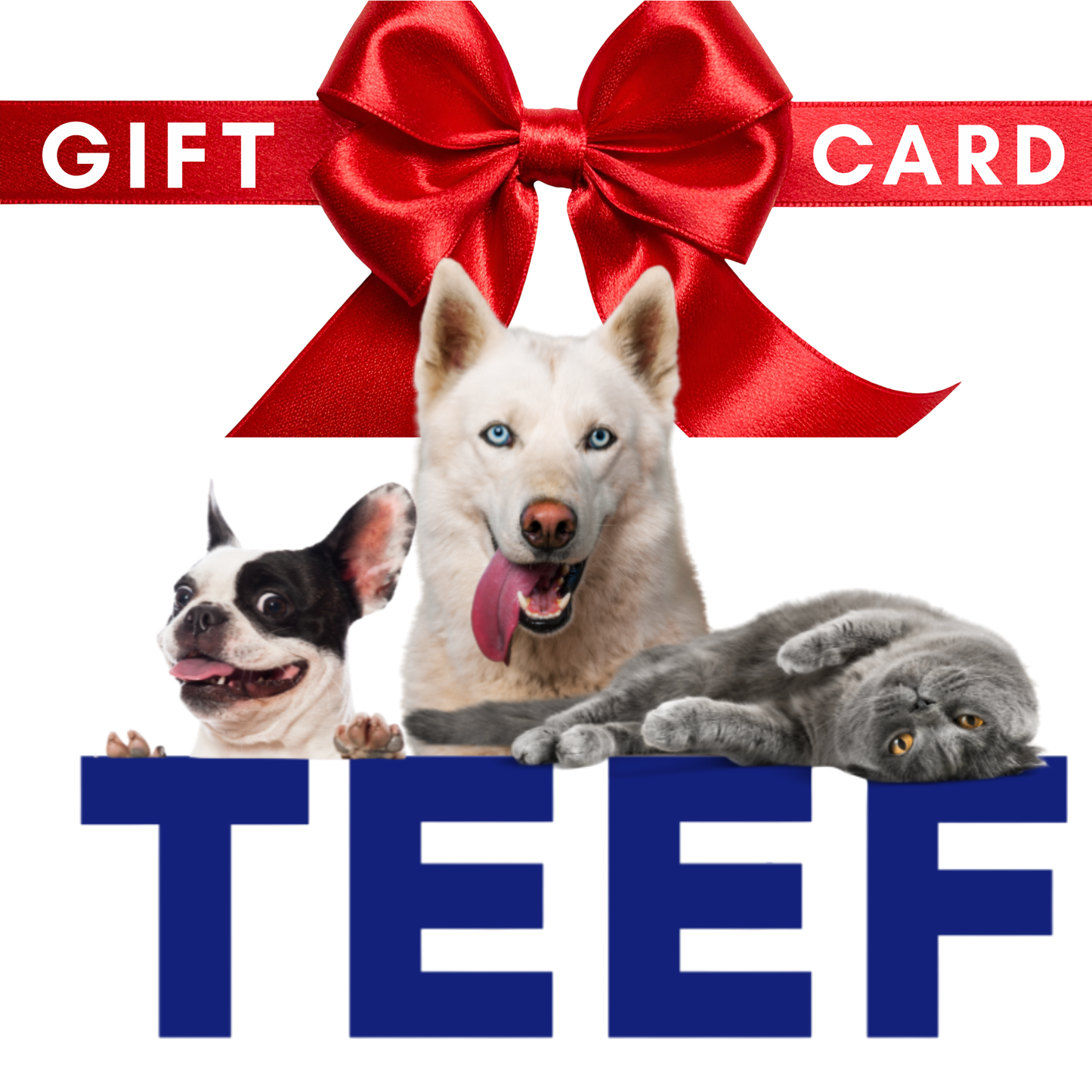 TEEF GIFT CARD
