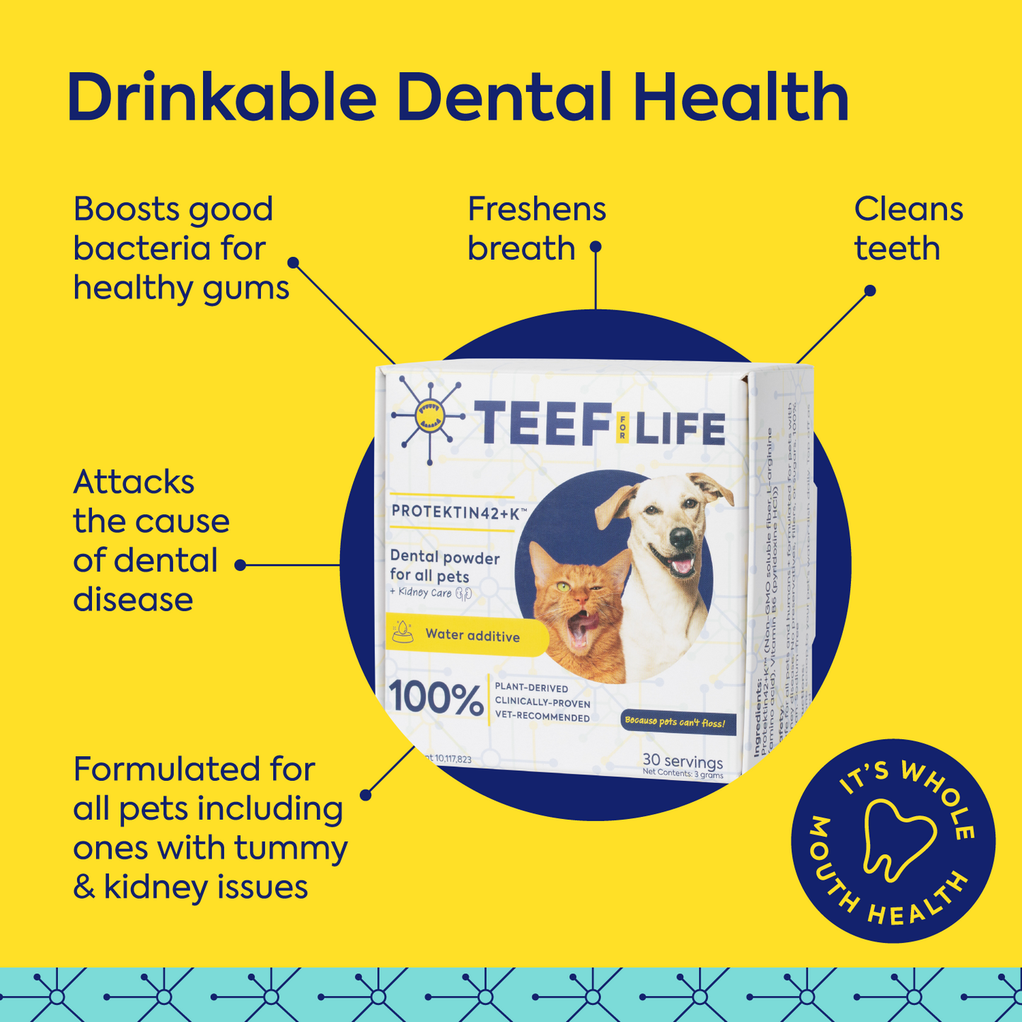 TEEF for Life - Protektin42K - Kit: Prebiotic Dental Powder for ALL pets (Sodium-free)