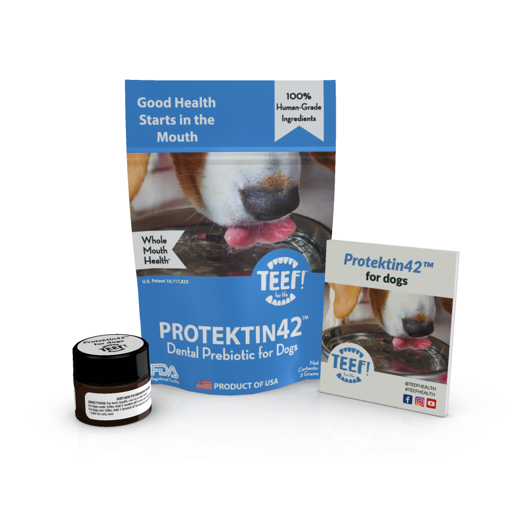 TEEF! Drinkable Dental Health
