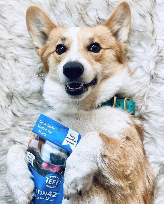 TEEF! Drinkable Dental Health