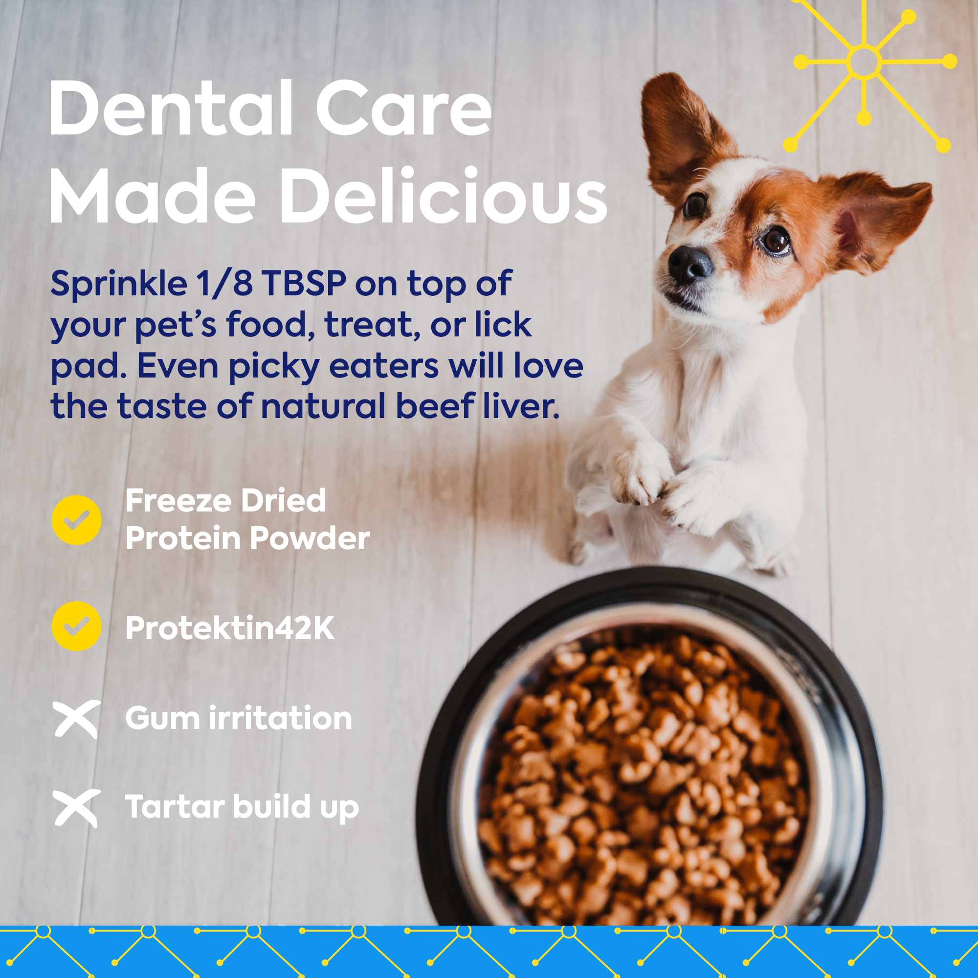 Lickable Treat Powder - Dog and Cat Formula (Beef Liver or Salmon)