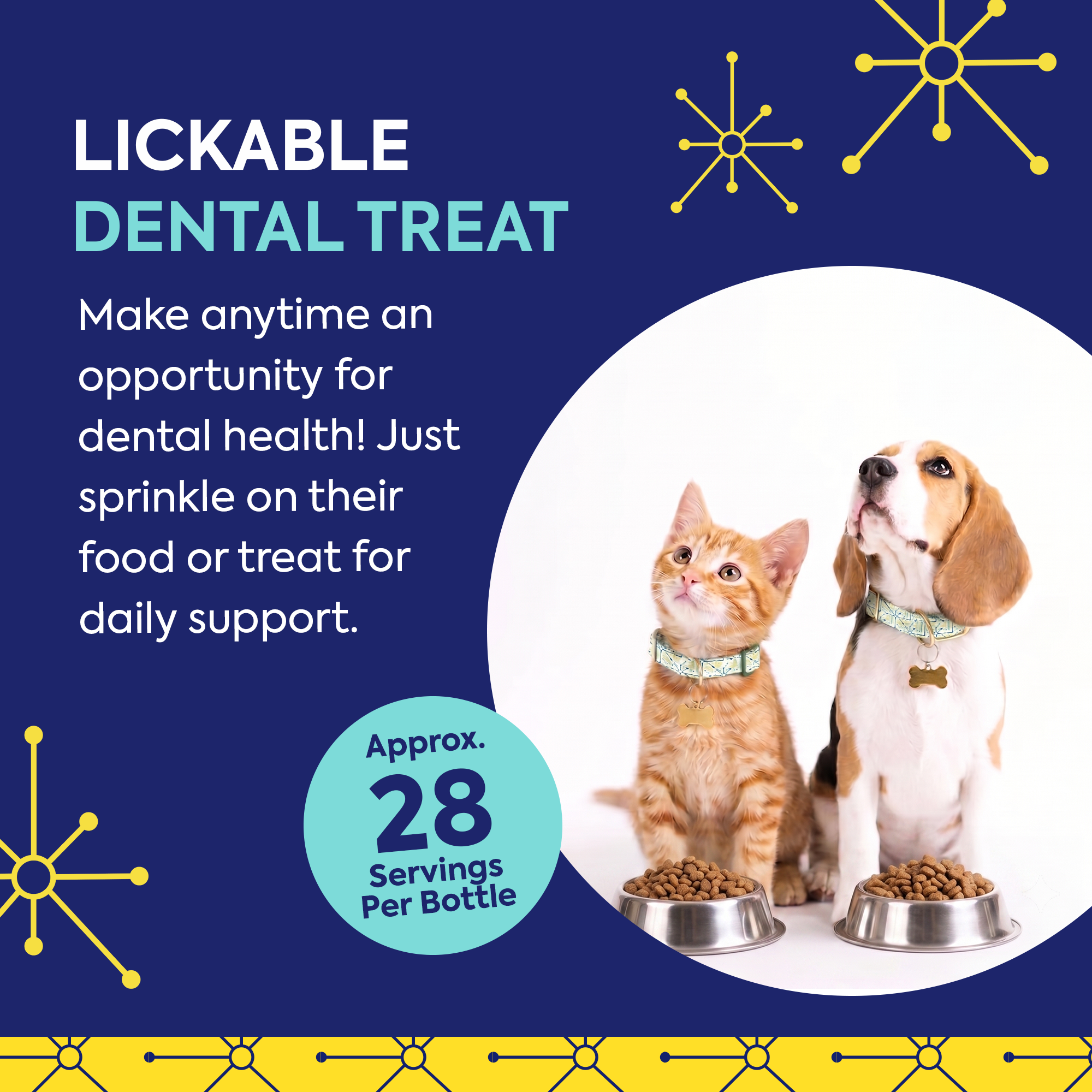Lickable Treat Powder - Dog and Cat Formula (Beef Liver or Salmon)