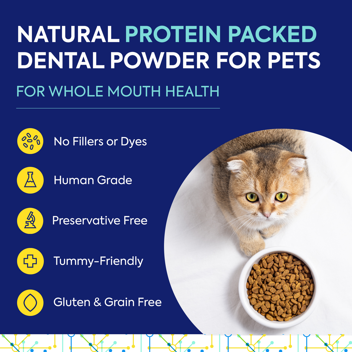 Lickable Treat Powder - Dog and Cat Formula (Beef Liver or Salmon)