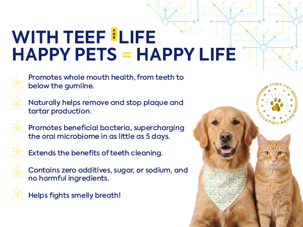 Refill Powder Packet: TEEF for Life - Protektin42K™ Prebiotic Dental Powder for ALL pets (Sodium Free)