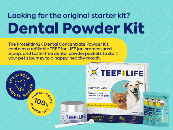 TEEF for Life - Protektin42K - Kit: Prebiotic Dental Powder for ALL pets (Sodium-free)