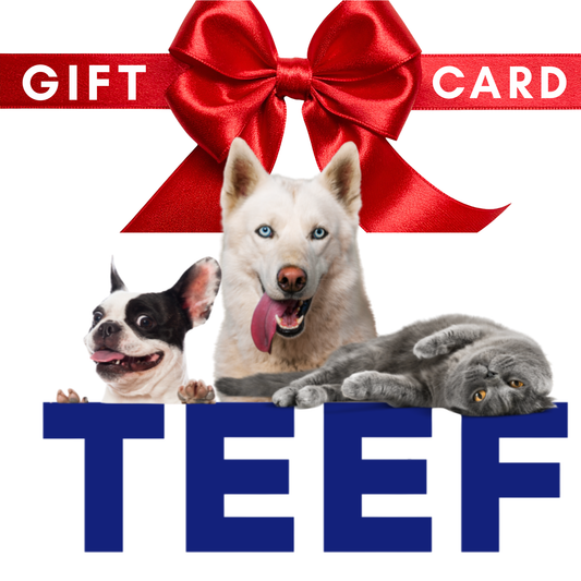 TEEF GIFT CARD