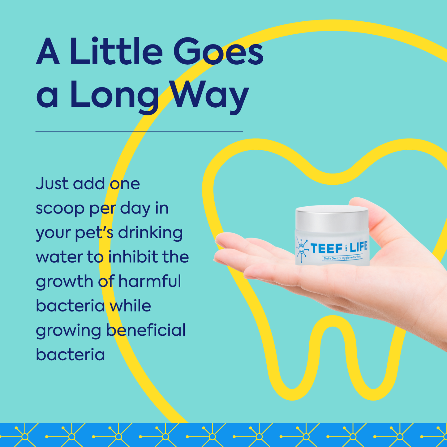 TEEF for Life - Protektin42K - Dental Kit: Prebiotic Dental Powder for ALL pets (Sodium-free)