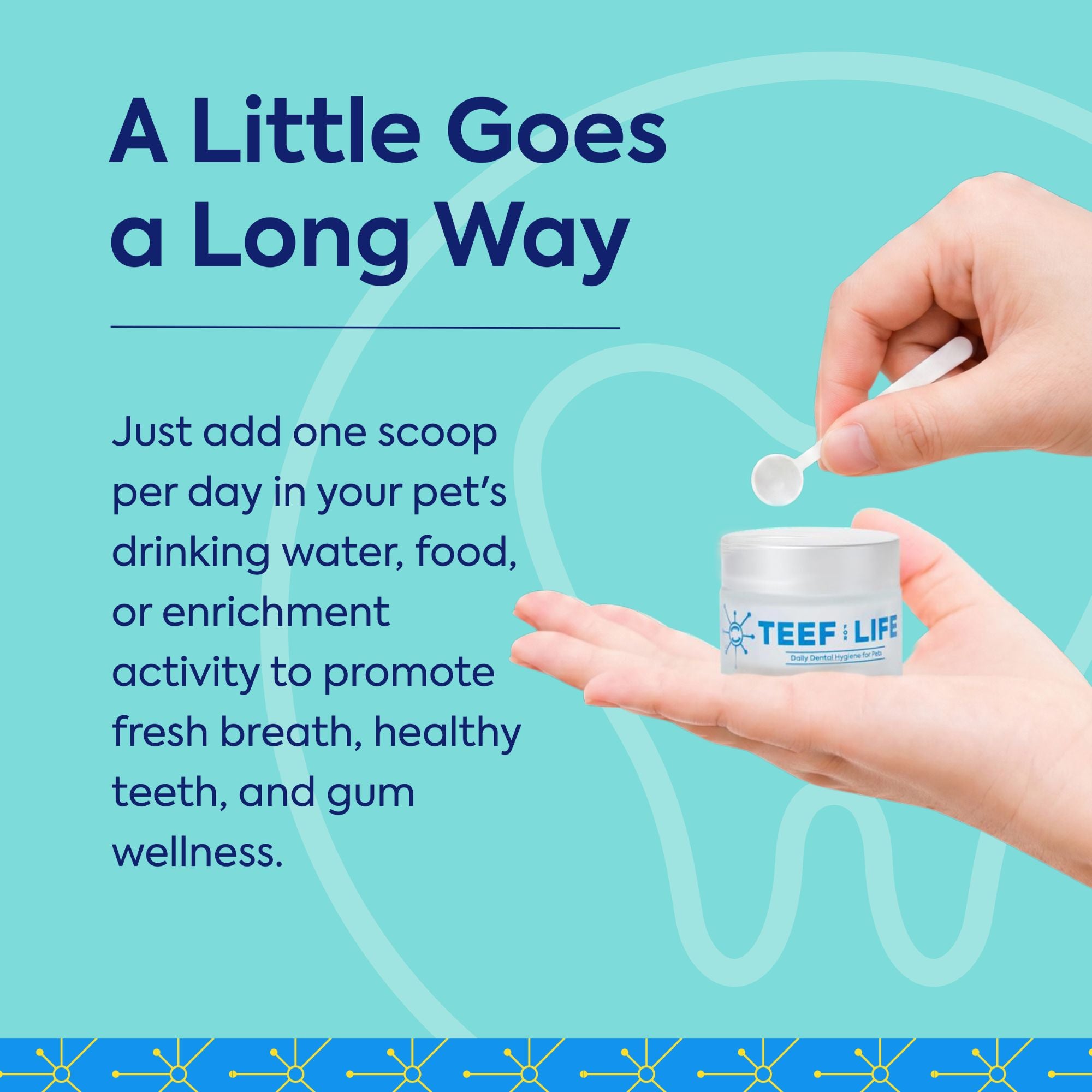 Refill Powder Packet: TEEF for Life - Protektin42™ Prebiotic Dental Powder for Dogs