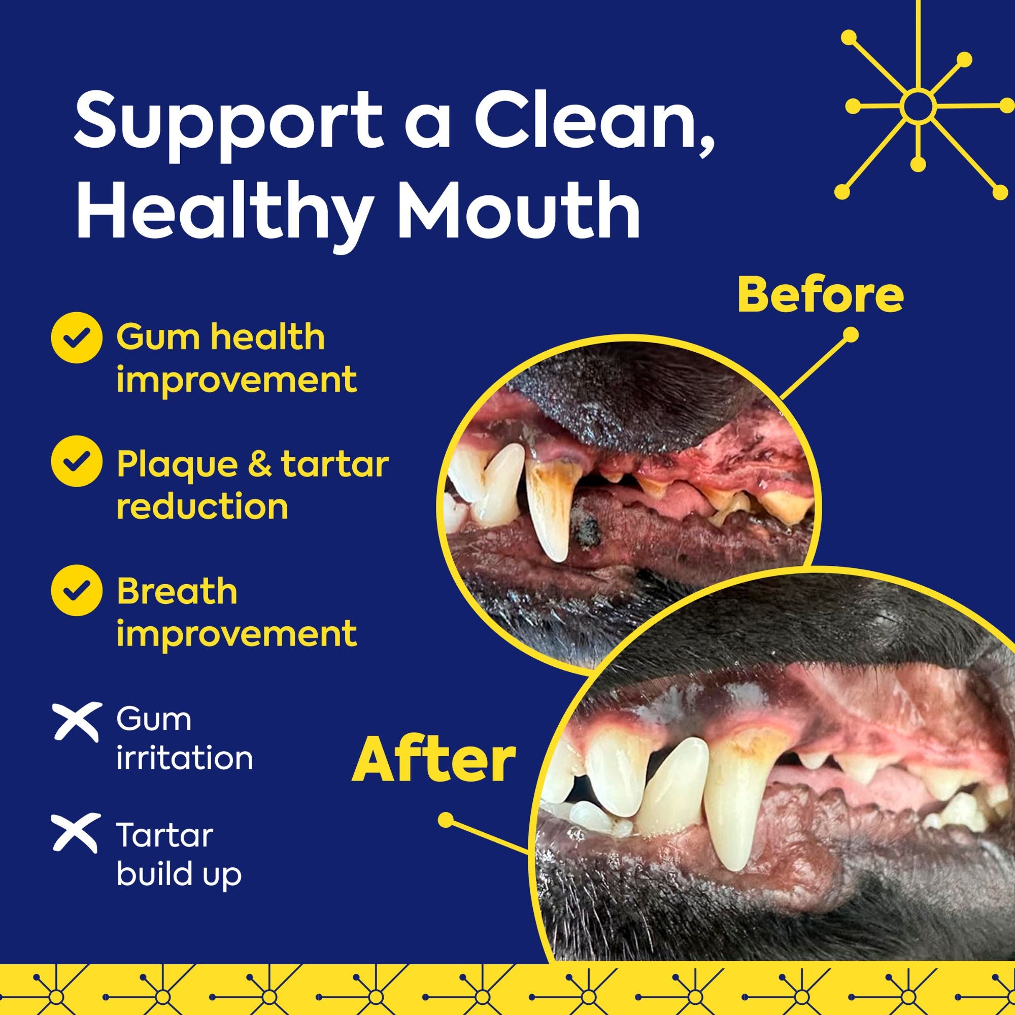 Refill Powder Packet: TEEF for Life - Protektin42™ Prebiotic Dental Powder for Dogs