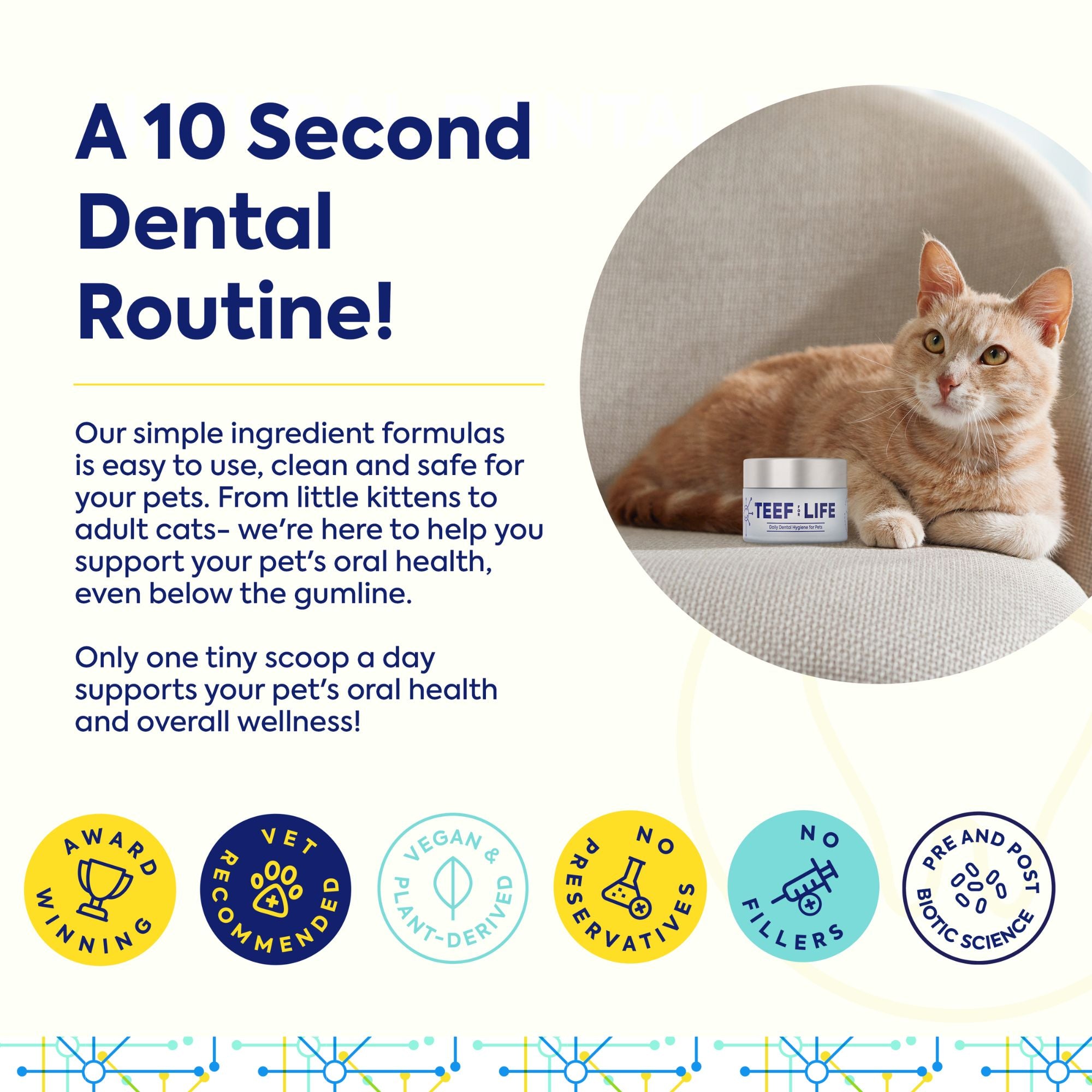 Refill Powder Packet Bundle: TEEF for Life - Protektin30™ Prebiotic Dental Powder for Cats