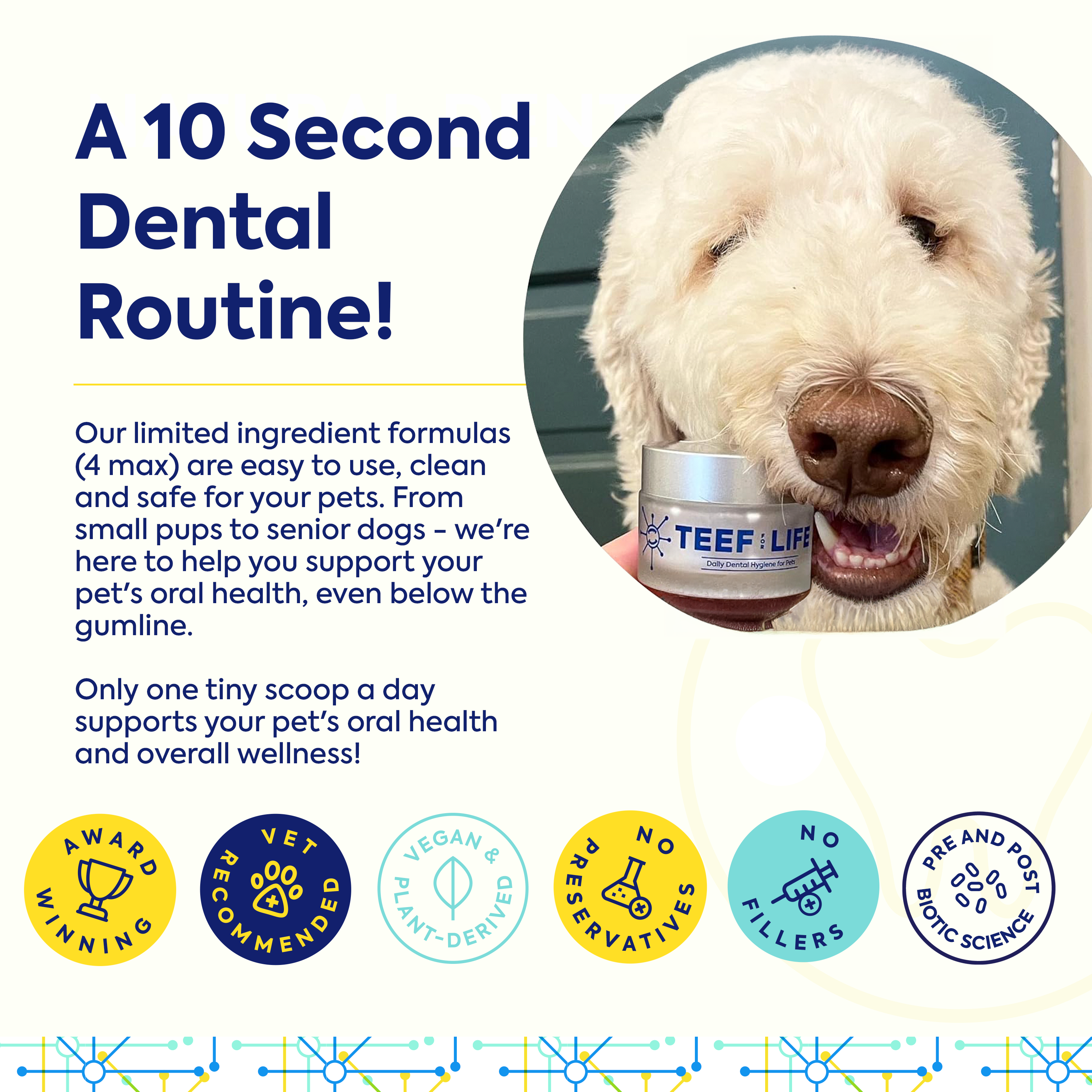 Refill Powder Packet: TEEF for Life - Protektin42K™ Prebiotic Dental Powder for ALL pets (Sodium Free)