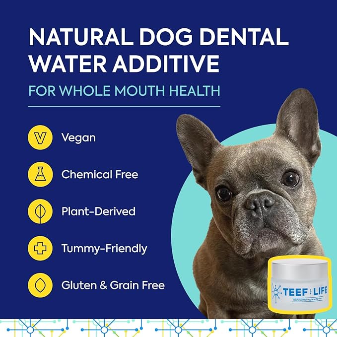 TEEF for Life - Protektin42™ - Dental Kit: Powder water additive for dogs