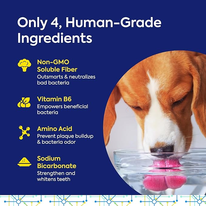 TEEF for Life - Protektin42™ - Dental Kit: Prebiotic Dental Powder for Dogs