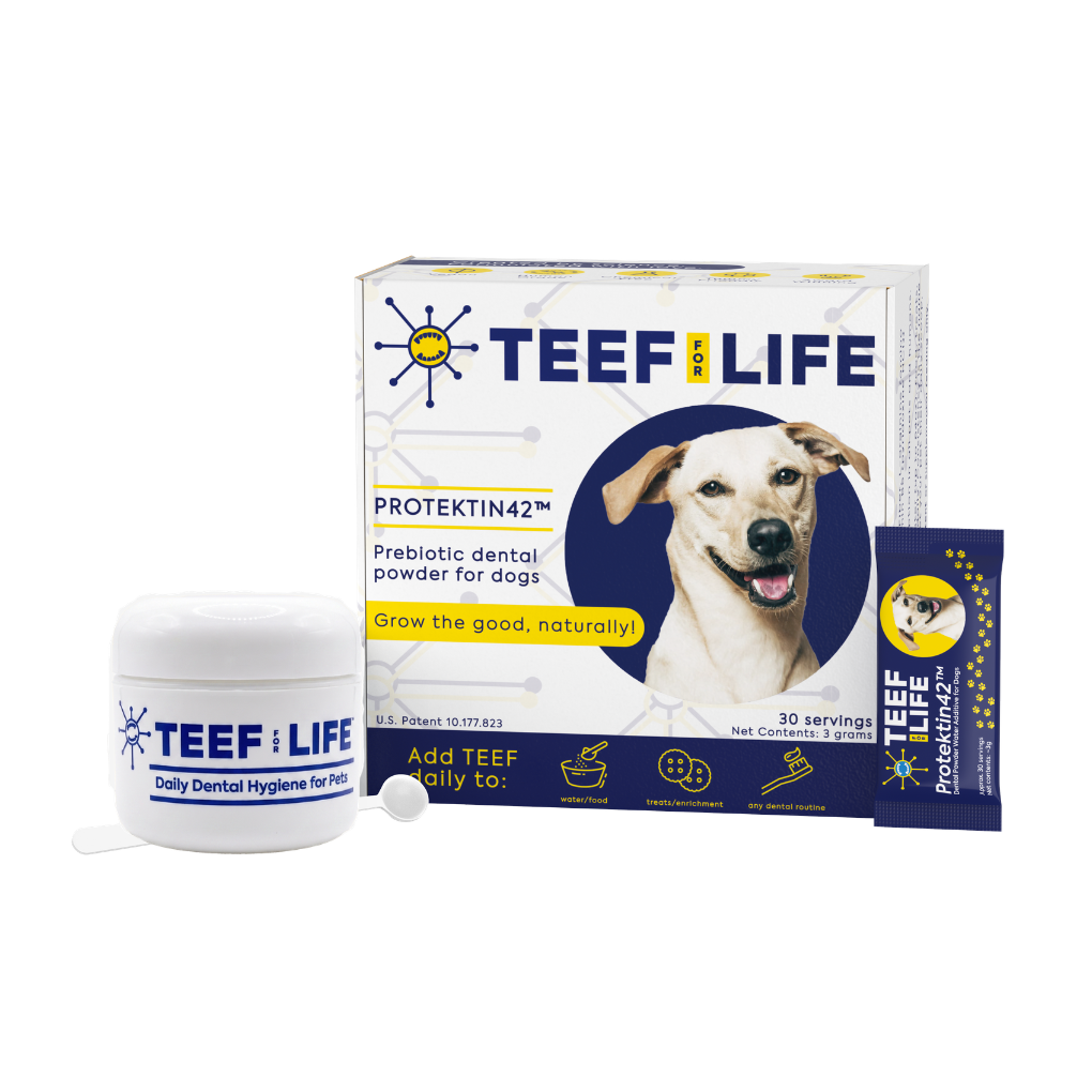 TEEF for Life - Protektin42™ - Kit: Prebiotic Dental Powder for Dogs