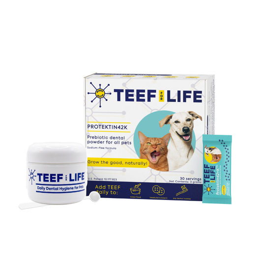 TEEF for Life - Protektin42K - Kit: Prebiotic Dental Powder for ALL pets (Sodium-free)