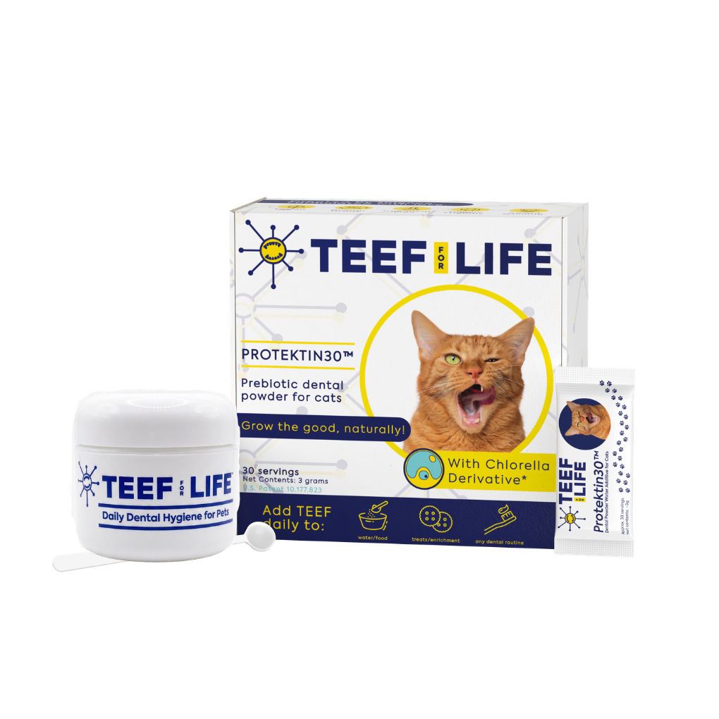 TEEF for Life - Protektin30™ - Kit: Prebiotic Dental Powder for Cats